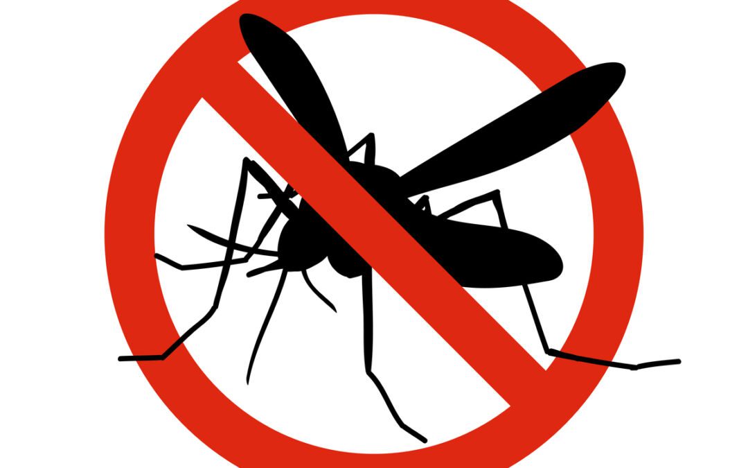 Geniessen Sie mückenfreie Sommer mit dem revolutionären ISP Mückengitter Rollo 